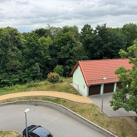 Bozki Apartament Kętrzyn Eksteriør billede